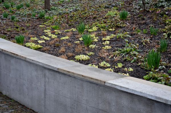 Cost of Concrete Wall Pouring in Charleston