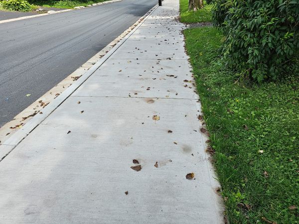 Cost of Sidewalk Renovation in Charleston
