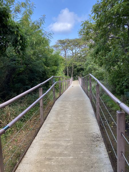 Cost of Footpath Construction in Charleston