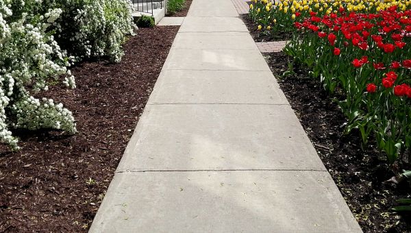 Cost of Sidewalk Slab Replacement in Charleston