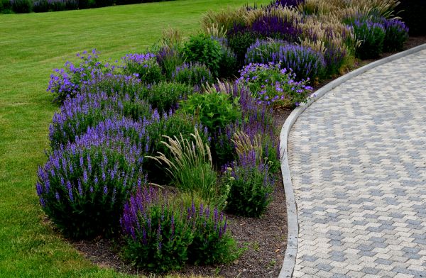 Cost of Sidewalk Curb Installation in Charleston