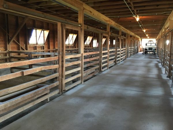 Cost of Barn Floor Pouring in Charleston