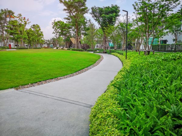 Cost of Cement Walkway Service in Charleston