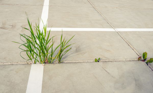 Cost of Concrete Parking Installation in Charleston