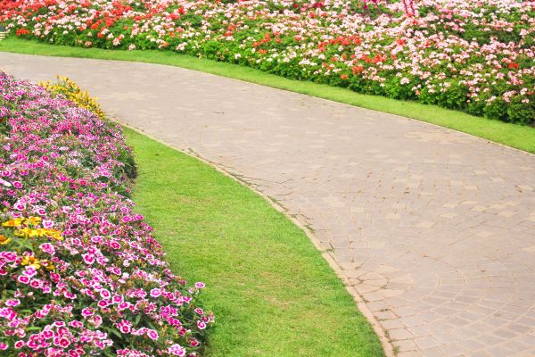 Cost of Concrete Walkway Service in Charleston