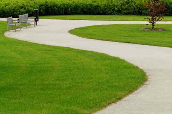 Cost of Sidewalk Installation in Charleston